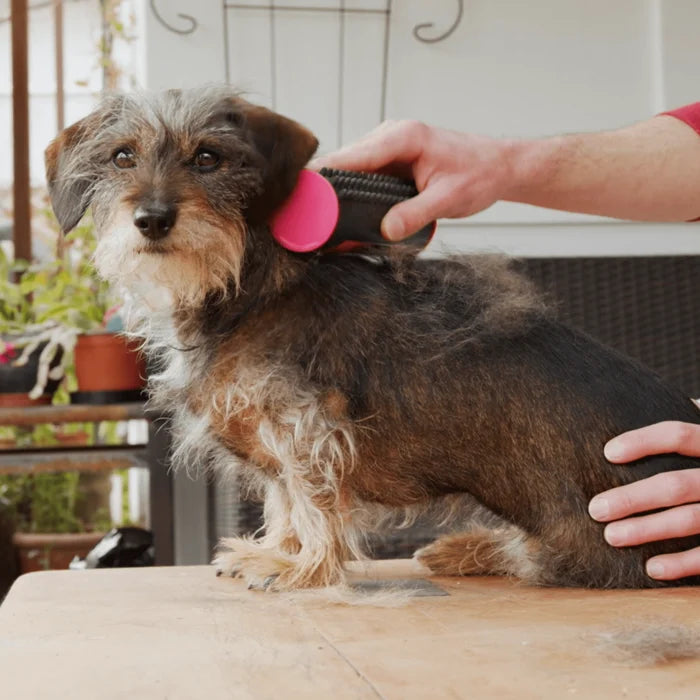 3-in-1 Pet De-Shedding Undercoat & Fur Brush