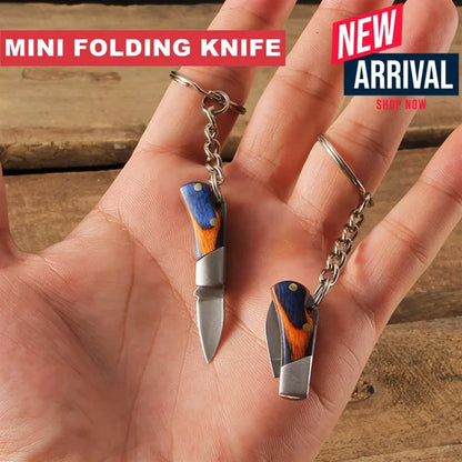 Mini Folding Knife Key Chain