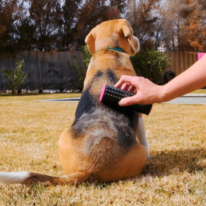 3-in-1 Pet De-Shedding Undercoat & Fur Brush