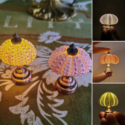 DIY Sea Urchin Night Light